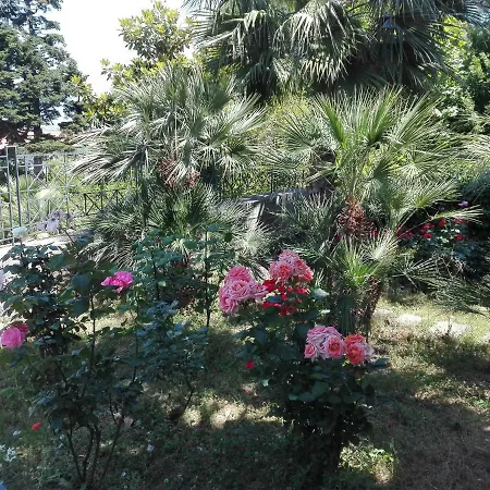 Maison Colaianni Alojamento de Acomodação e Pequeno-almoço Castellammare di Stabia